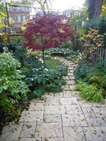 curving stone path through a perennial planting with a red maple in the background