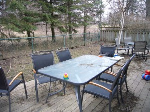 a neglected backyard